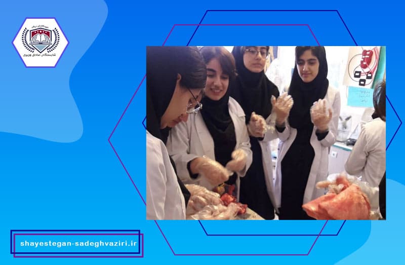 دبيرستان غيردولتی شايستگان صادق وزيرى